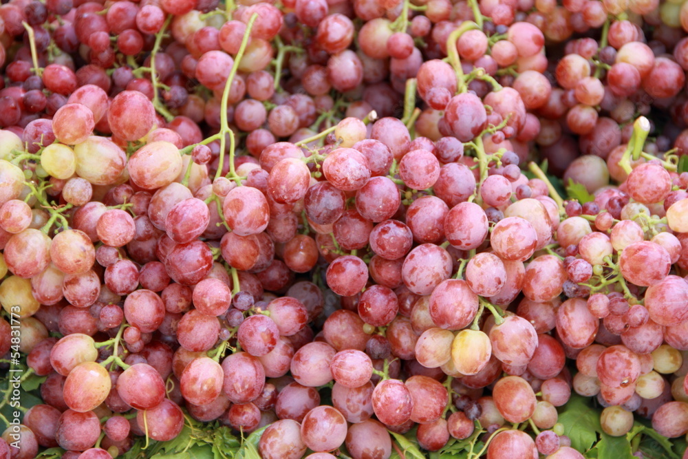 frische rote Trauben frische rote Trauben
