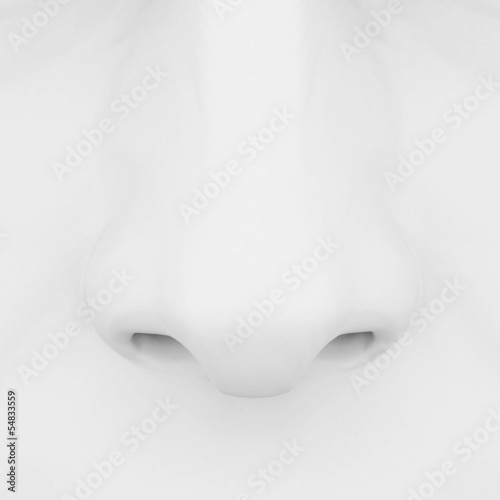 nose 3d