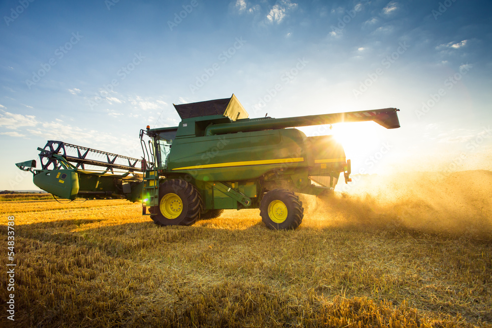 Naklejka premium Moissonneuse batteuse campagne blé