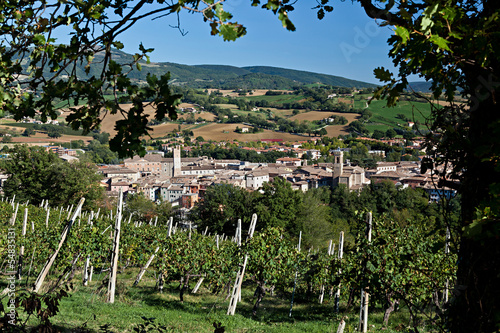 Matelica: Città del Verdicchio