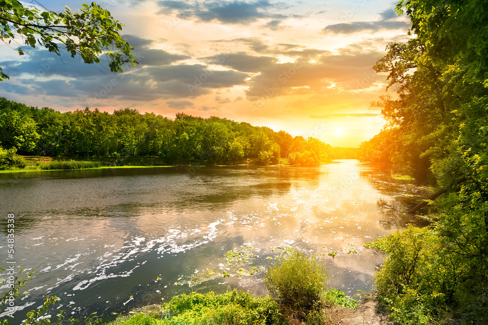 Sunset over the river in the forest - obrazy, fototapety, plakaty 