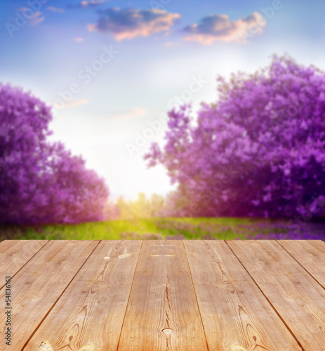 spring background with wooden planks