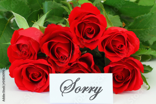 Sorry card with red roses