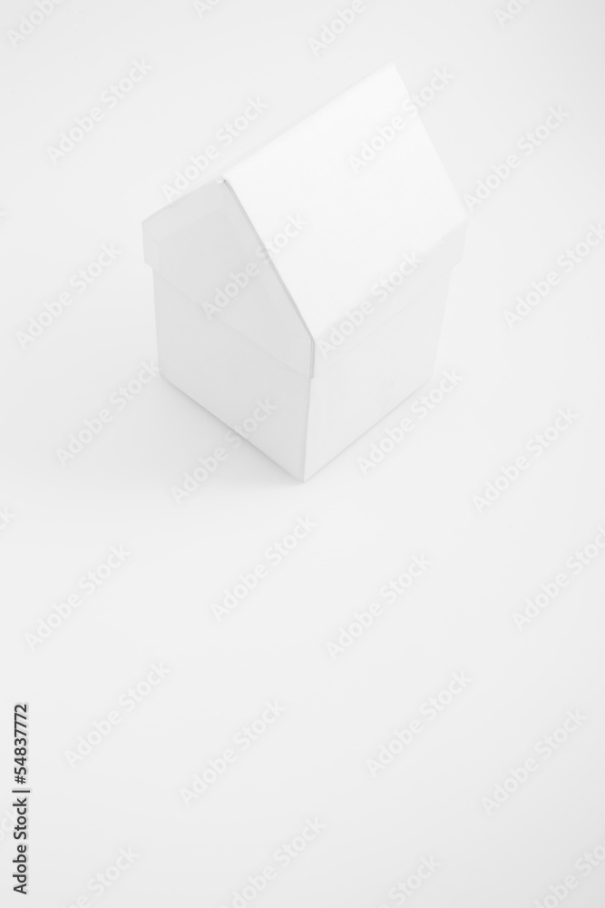 White house on white background White house on white background