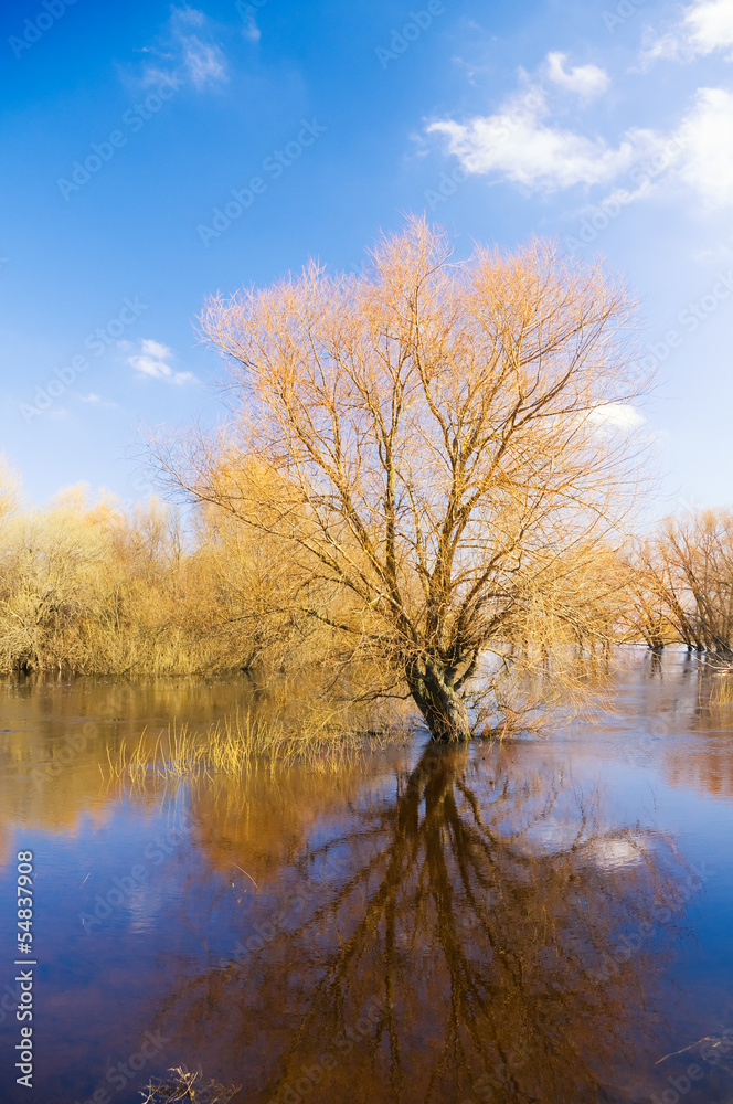 Spring high water