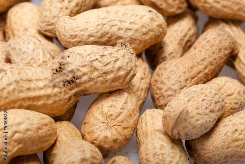 .Dried peanuts in closeup on the white background .Dried peanuts in closeup on the white background