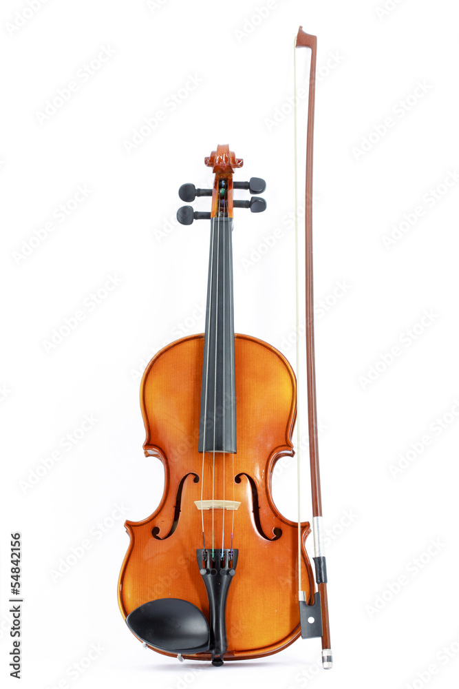 Violin