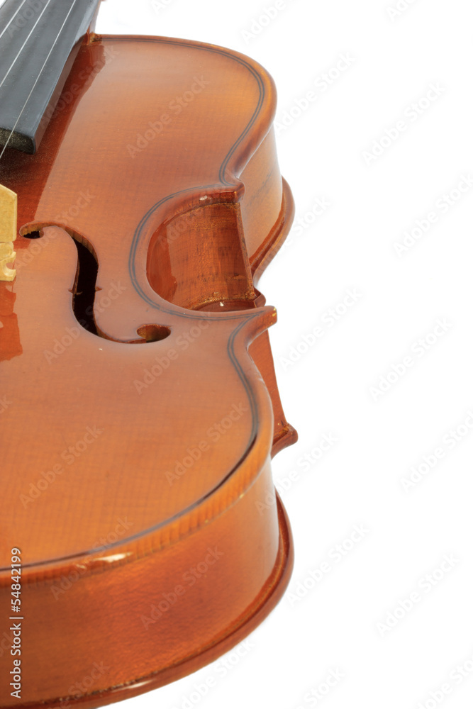 Obraz premium Violin detail