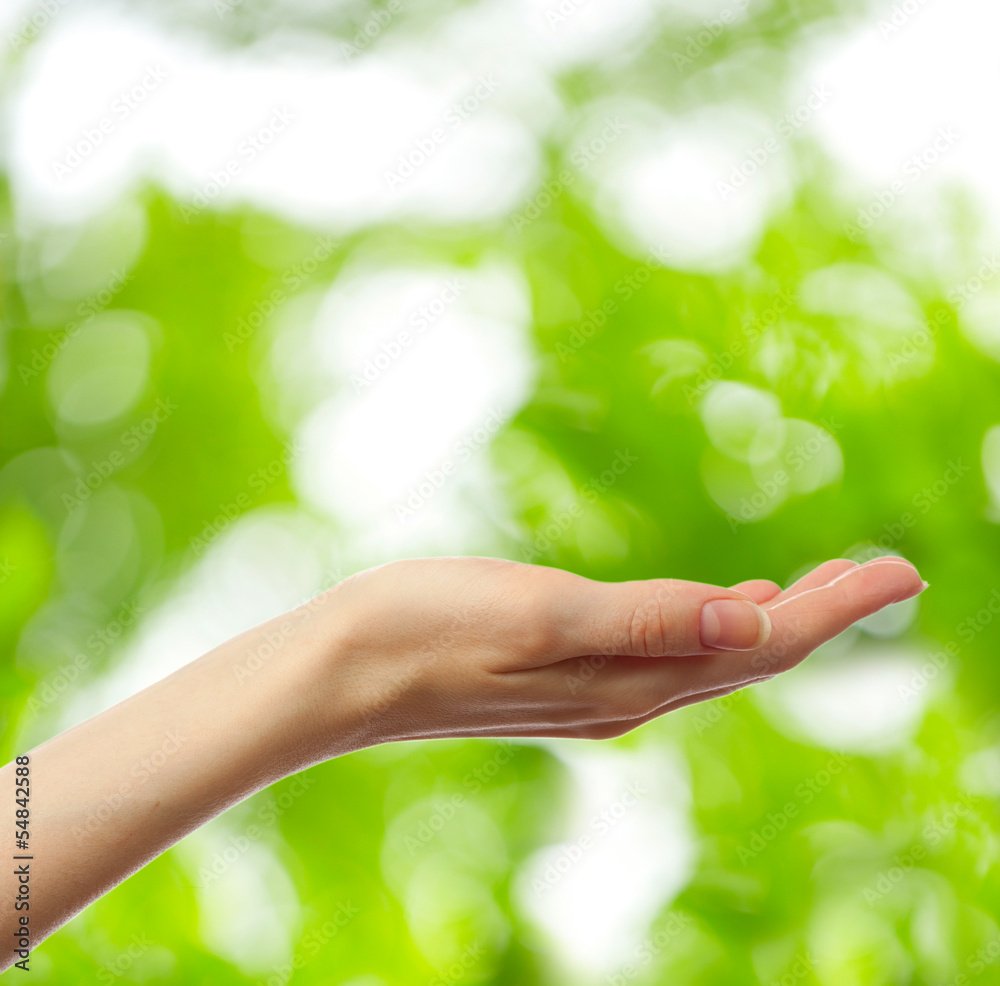 Female hand on young green leaves background Female hand on young green leaves background