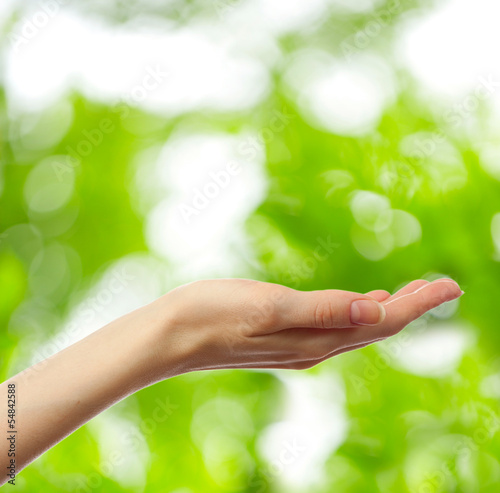 Female hand on young green leaves background