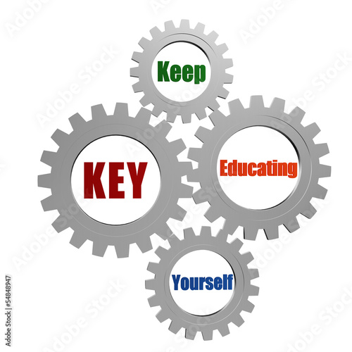 Canvas-taulu KEY - keep educating yourself in silver gears