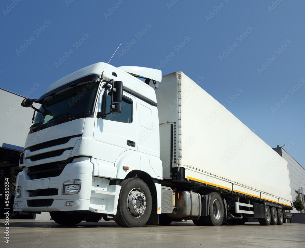 Cargo Truck / Delivery and Transport