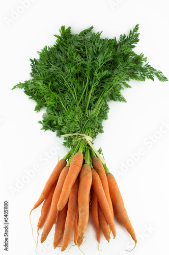 Canvastavla botte de carottes et fanes 4