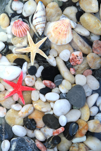 Seashell, starfish,and pebble stones