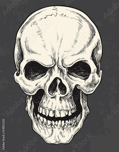 Hand Drawn Skull Vector