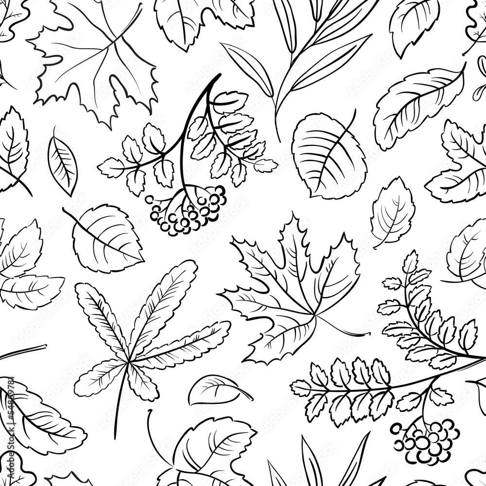 Autumn Autumn