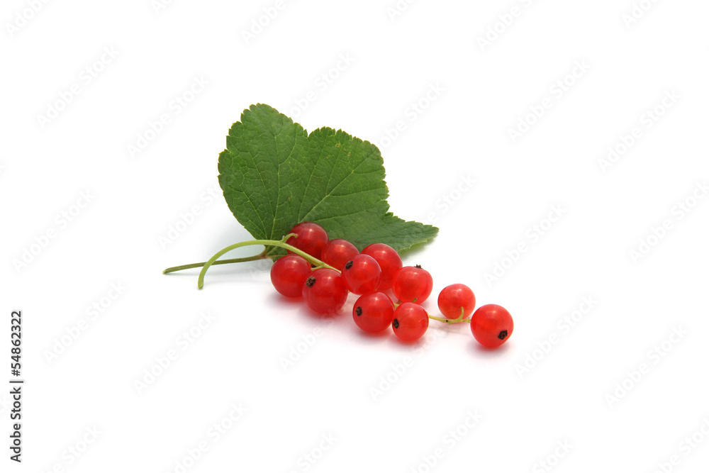 groseilles groseilles