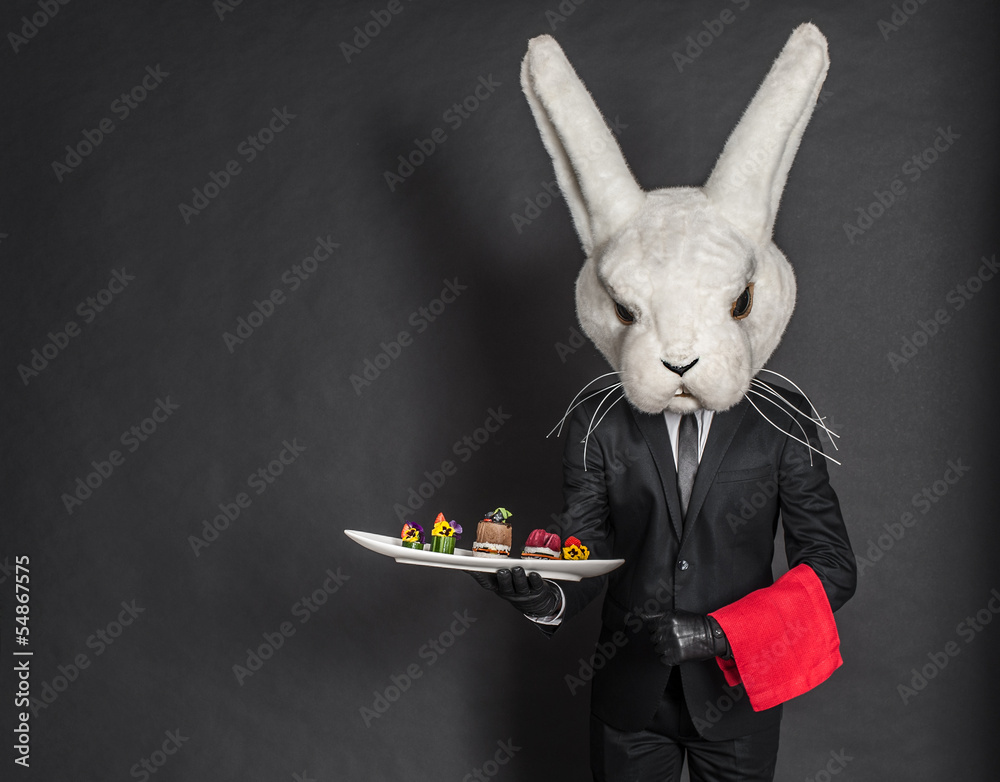 Rabbit waiter man in black suit stay at dark gray background Stock ...