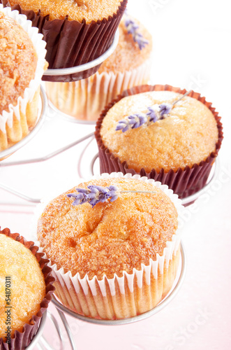 vanilla cupcake with lavender