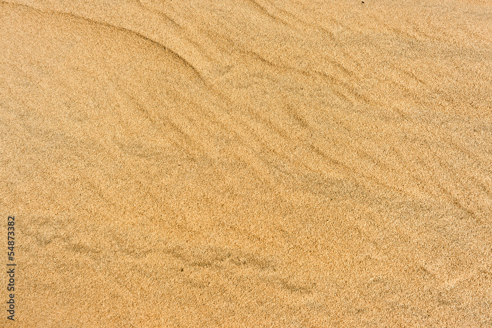 Sand Texture Sand Texture
