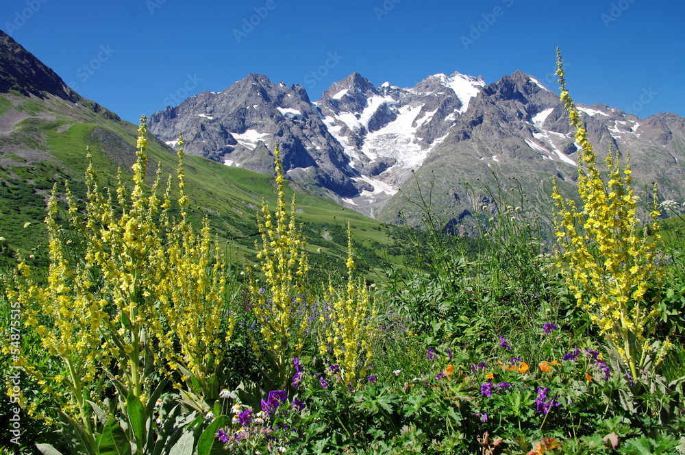 massif de la meije-france