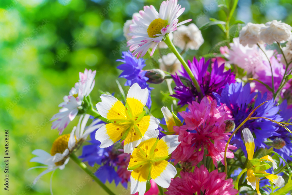 Colorful meadow flowers summer bouquet