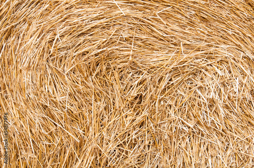 Background of straw on the field after harvest.
