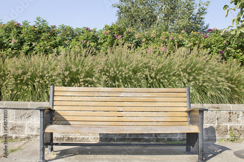 Park Bench with Fountaingrass and Rose Bushes