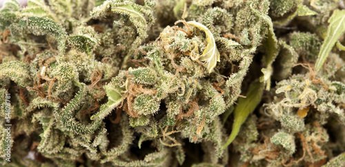 Cannabis Background