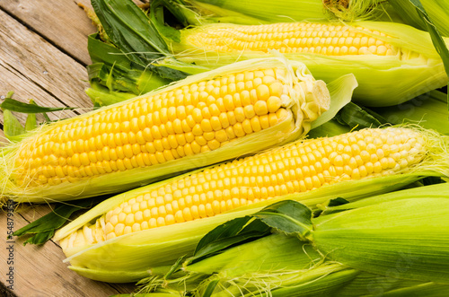 Ears of fresh yellow sweet corn