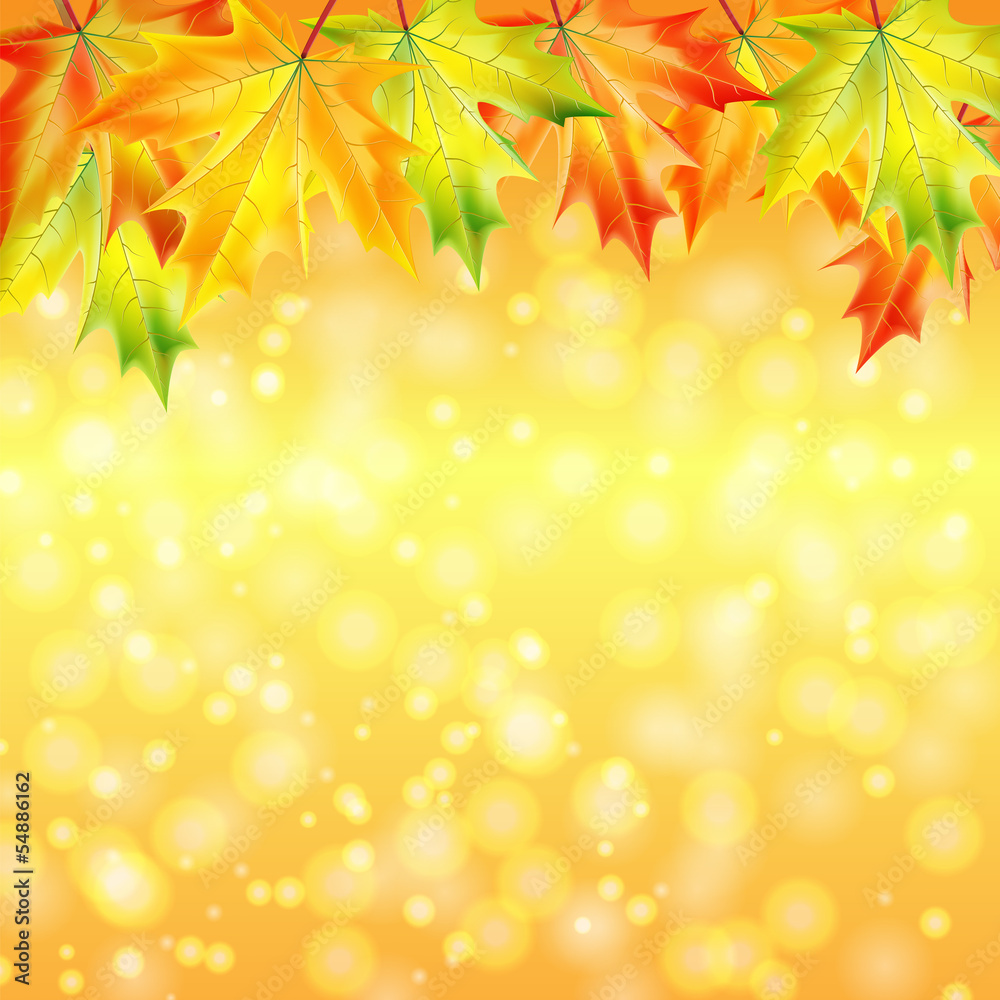 autumn maple leaves on a yellow sparkling background.autumn back