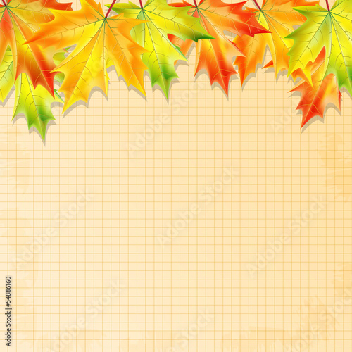 background with autumn leaves and sheet of paper into a cell.aut