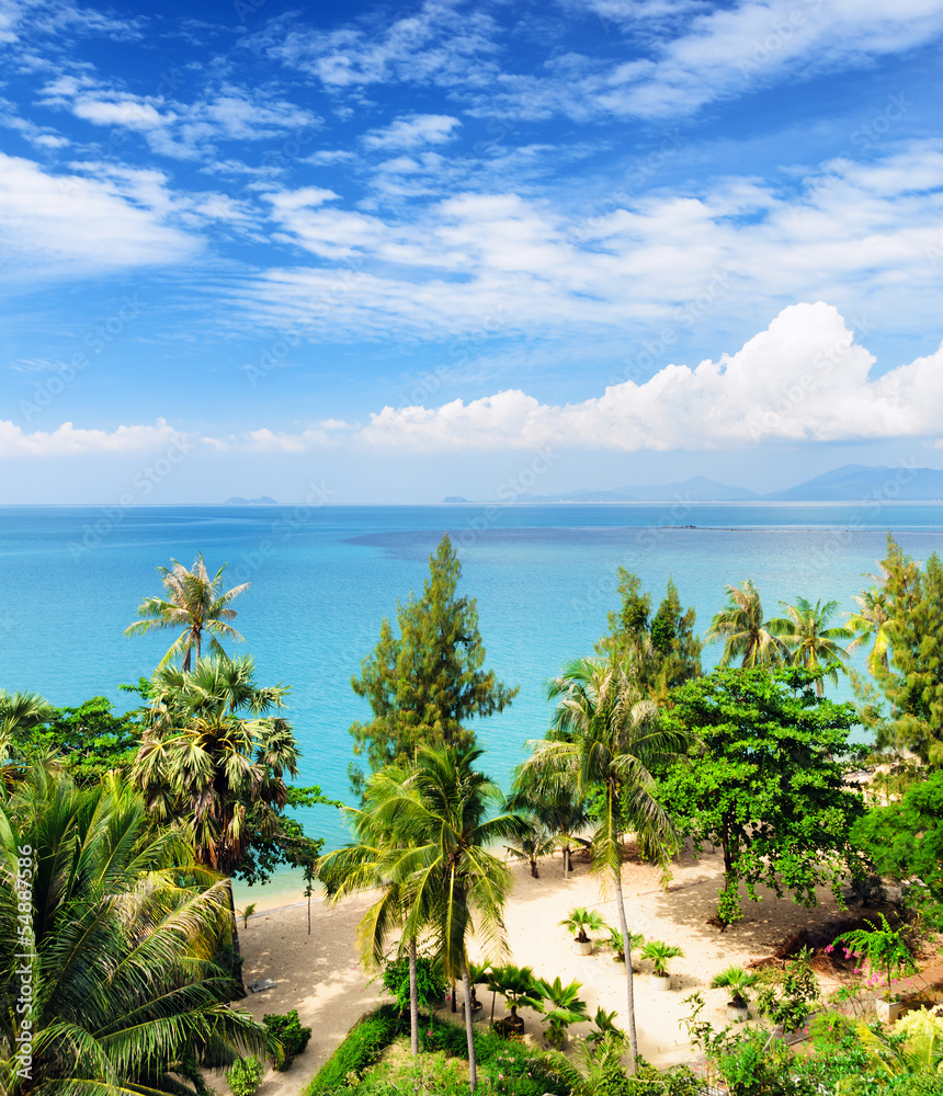 Fototapeta premium Beautiful tropical landscape. Samui Island, Thailand