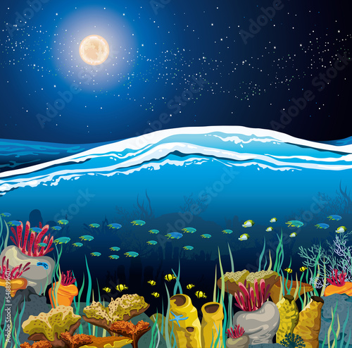 Seascape with underwater creatures and night sky