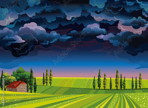 Stormy sky and green meadow.