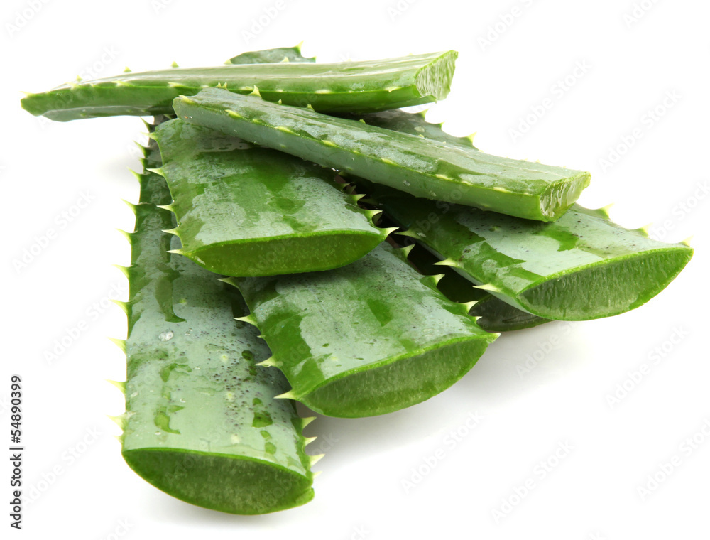 aloe vera isolated aloe vera isolated