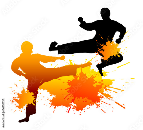 Taekwondo - 9