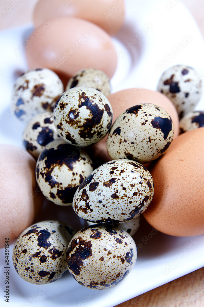 Obraz premium huevos de codorniz