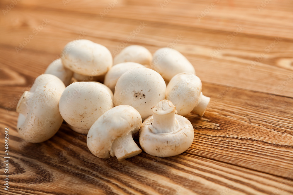 Mushrooms Mushrooms