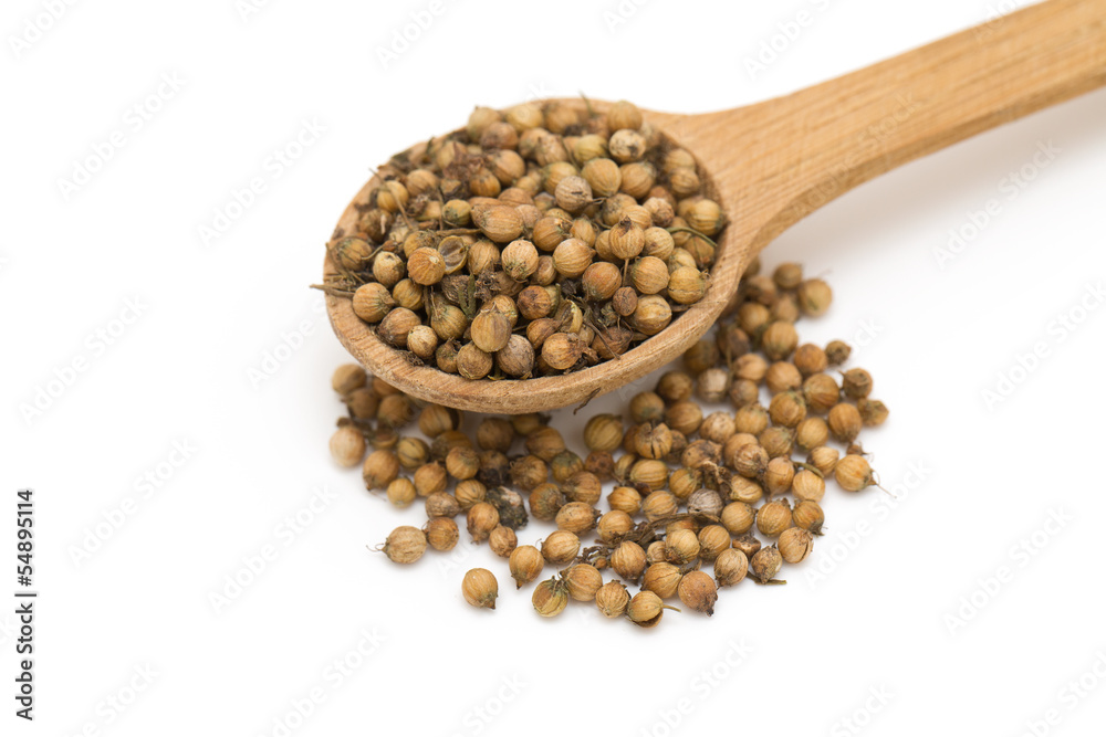 coriander seeds isolated on white coriander seeds isolated on white