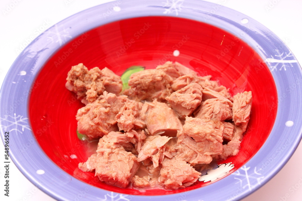 Thunfisch Thunfisch
