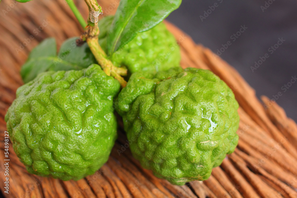 Fototapeta premium Kaffir