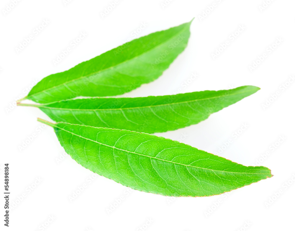 Obraz premium peach, nectarine