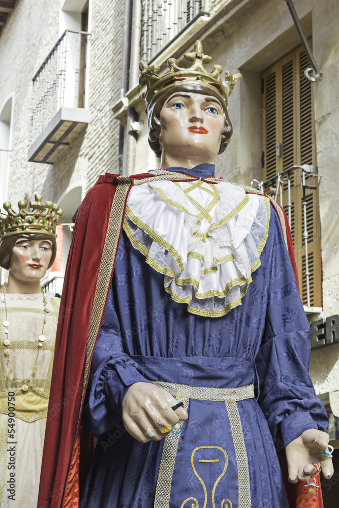 Obraz premium Kings of Navarre