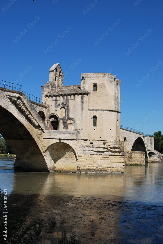 Saint Benezet bridge on Rhone river, Avignon, Provence, France