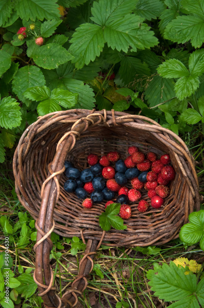 Berry