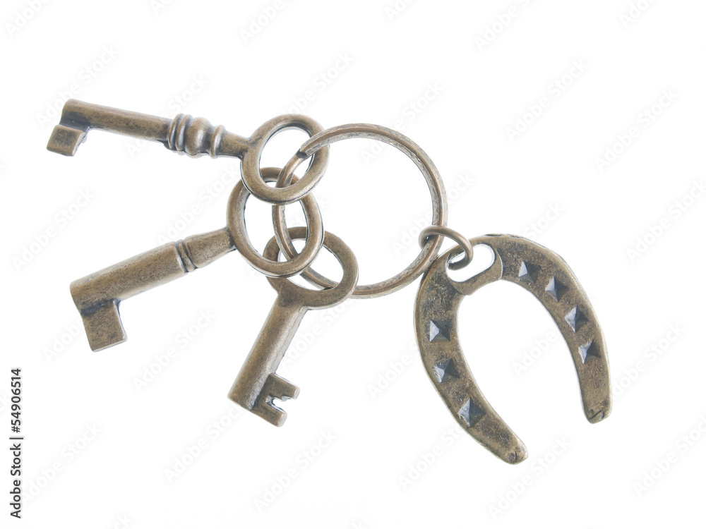 Obraz premium keys with rustic lucky