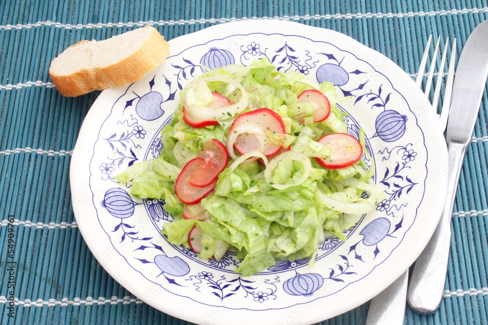 Grüner Salat mit Radieschen Grüner Salat mit Radieschen