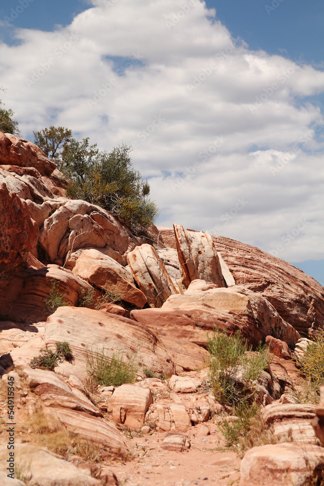 Fototapeta premium Red rock canyon