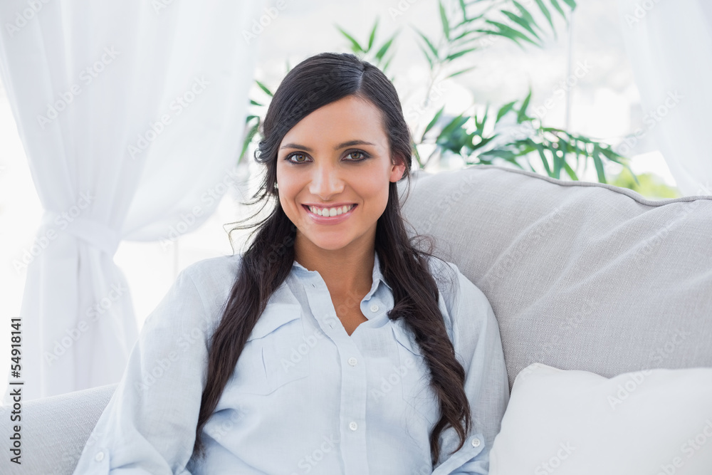 Happy gorgeous brunette sitting on the couch Happy gorgeous brunette sitting on the couch